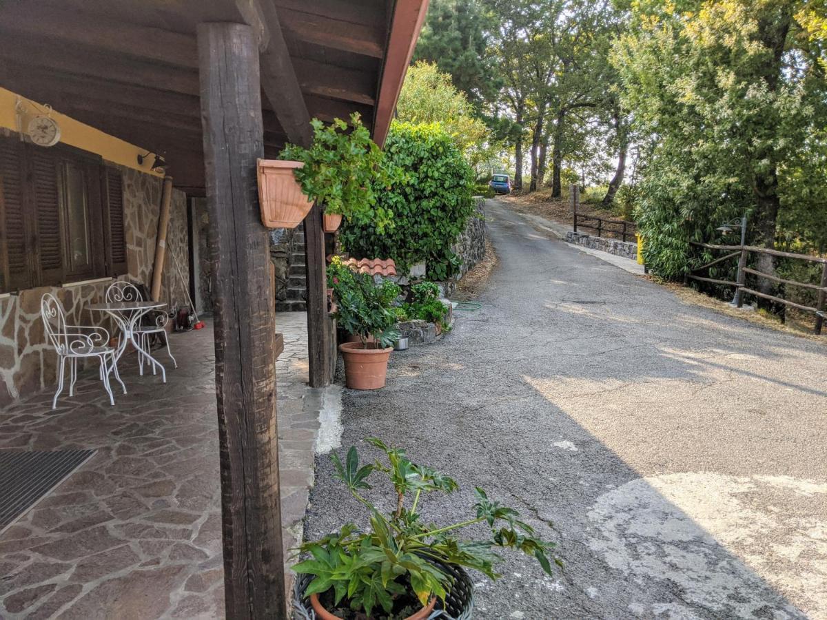 Il Rifugio Del Contadino Art & Nature Bosco  Ngoại thất bức ảnh