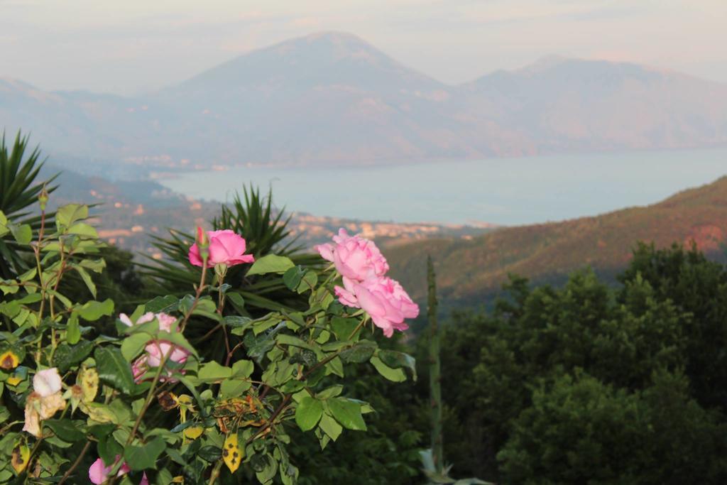 Il Rifugio Del Contadino Art & Nature Bosco  Ngoại thất bức ảnh
